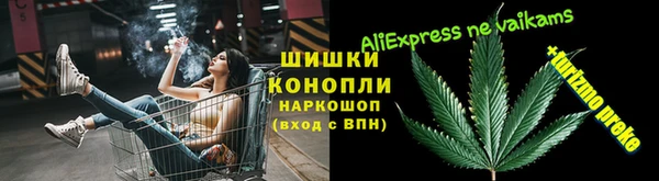дмт Алексин