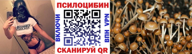 где найти наркотики  площадка Telegram  Псилоцибиновые грибы Psilocybine cubensis  Первоуральск 